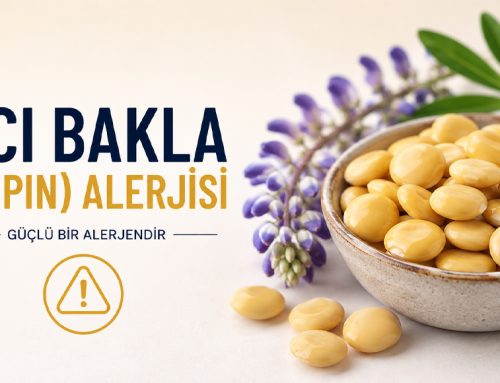 Acı Bakla (Lupin) Alerjisi