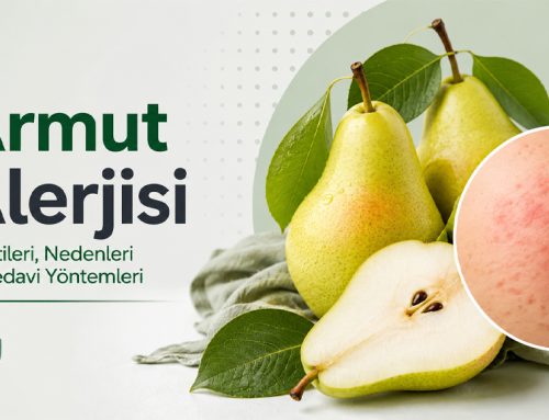 Armut Alerjisi