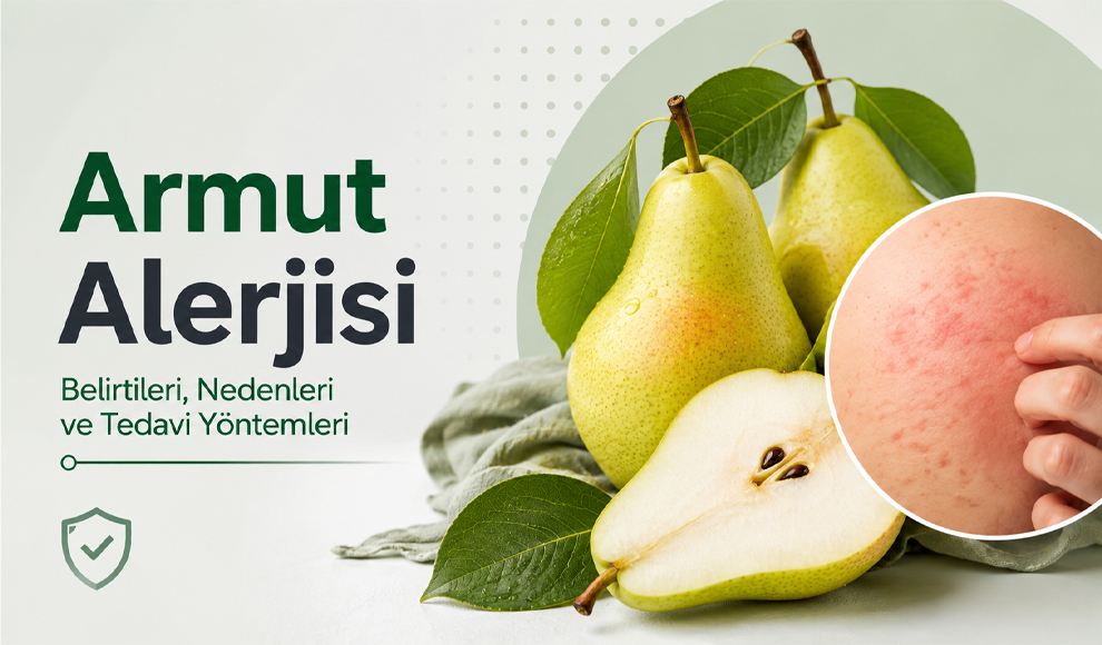 Armut Alerjisi Armut Alerjisi