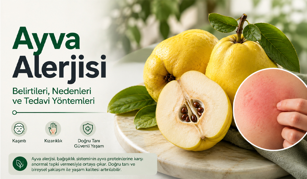 Ayva Alerjisi Ayva Alerjisi