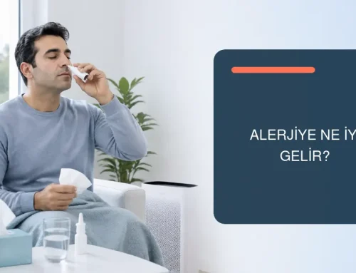 Alerjiye Ne İyi Gelir?