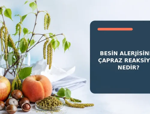 Besin Alerjisinde Çapraz Reaksiyon Nedir?