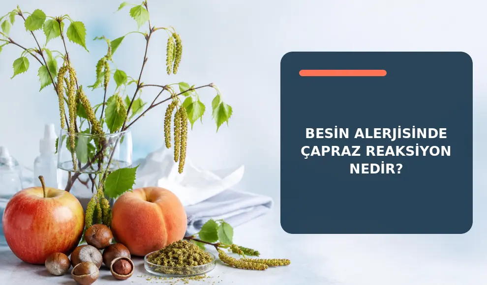 Besin Alerjisinde Çapraz Reaksiyon Nedir?