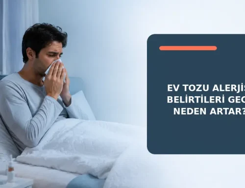 Ev Tozu Alerjisi Belirtileri Gece Neden Artar?