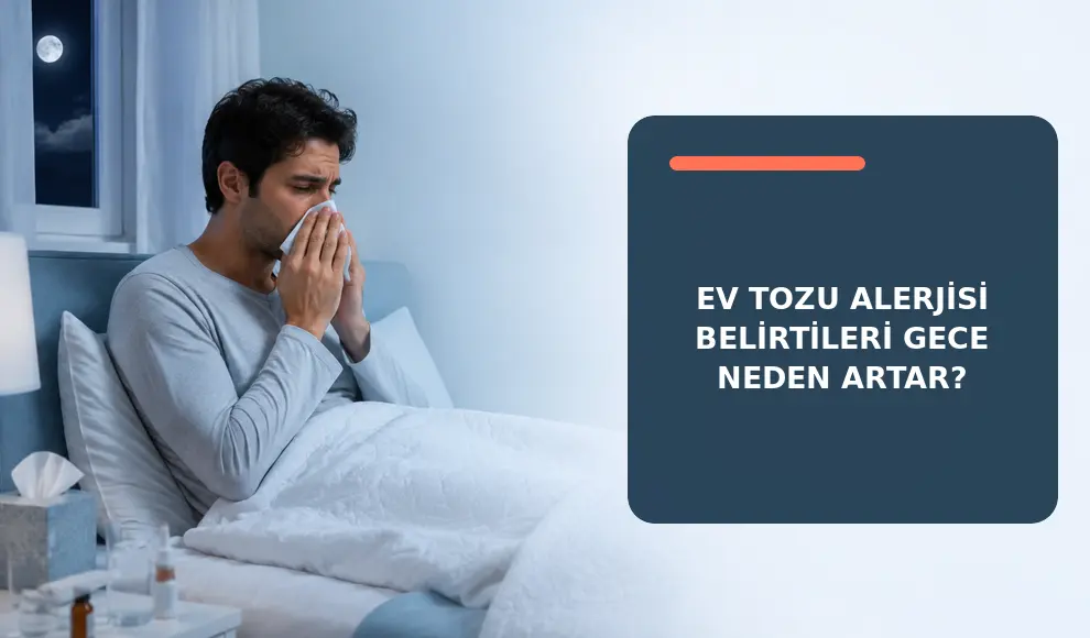 Ev Tozu Alerjisi Belirtileri Gece Neden Artar?