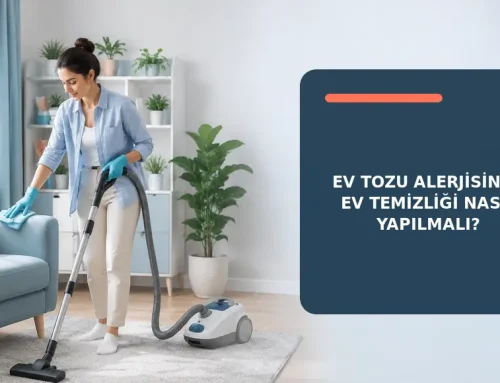 Ev Tozu Alerjisinde Ev Temizliği Nasıl Yapılmalı?