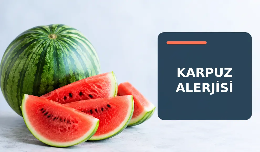 Karpuz Alerjisi Karpuz Alerjisi