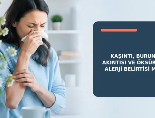 Kaşıntı, Burun Akıntısı ve Öksürük Alerji Belirtisi mi?