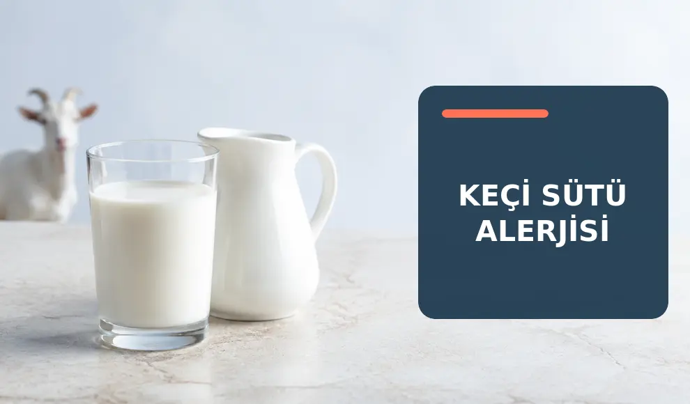 Keçi Sütü Alerjisi Keçi Sütü Alerjisi