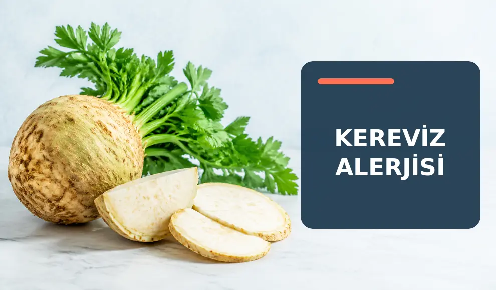 Kereviz Alerjisi Kereviz Alerjisi
