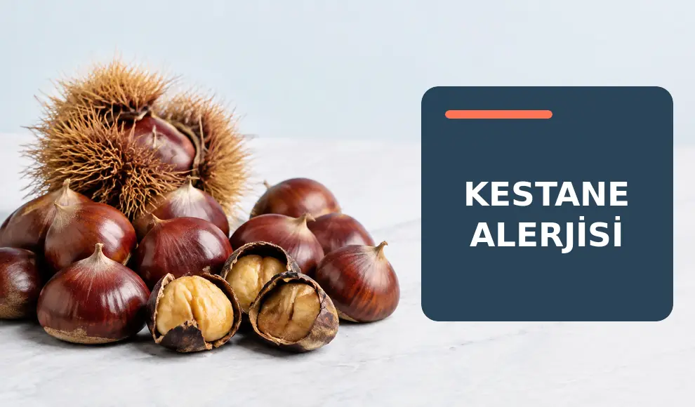 Kestane Alerjisi Kestane Alerjisi