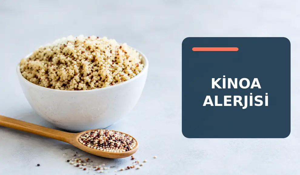 Kinoa Alerjisi Kinoa Alerjisi