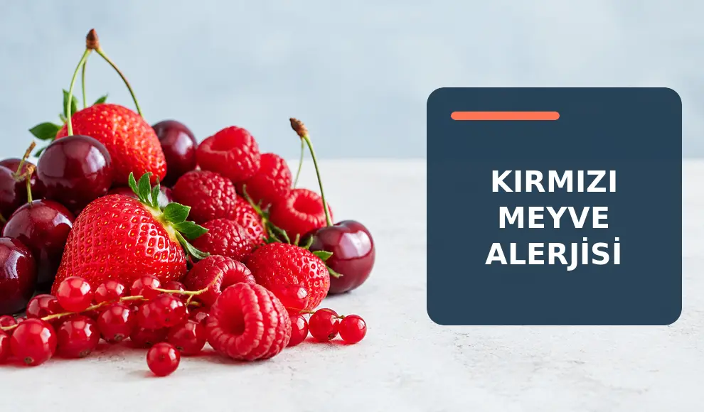 Kırmızı Meyve Alerjisi Kırmızı Meyve Alerjisi