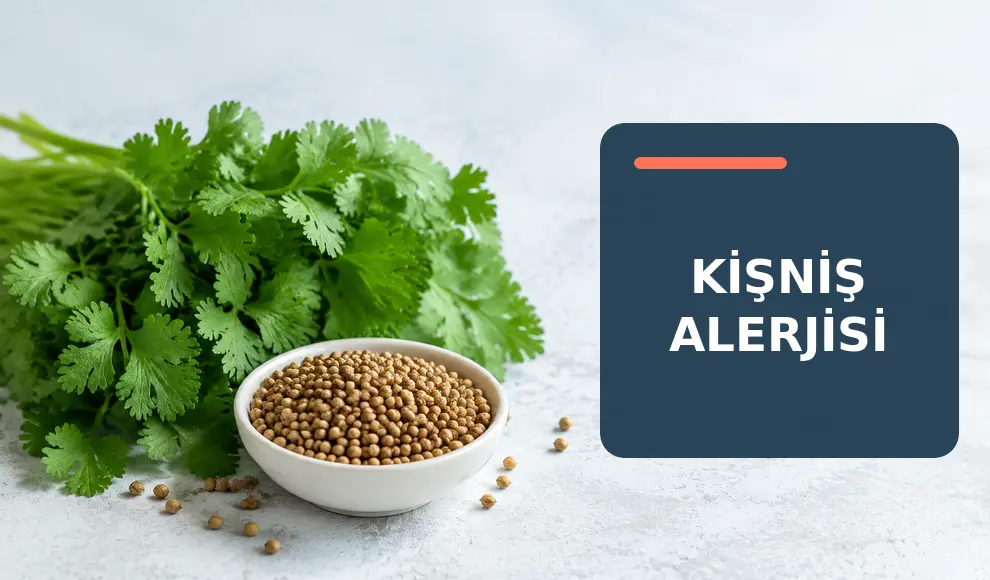Kişniş Alerjisi Kişniş Alerjisi