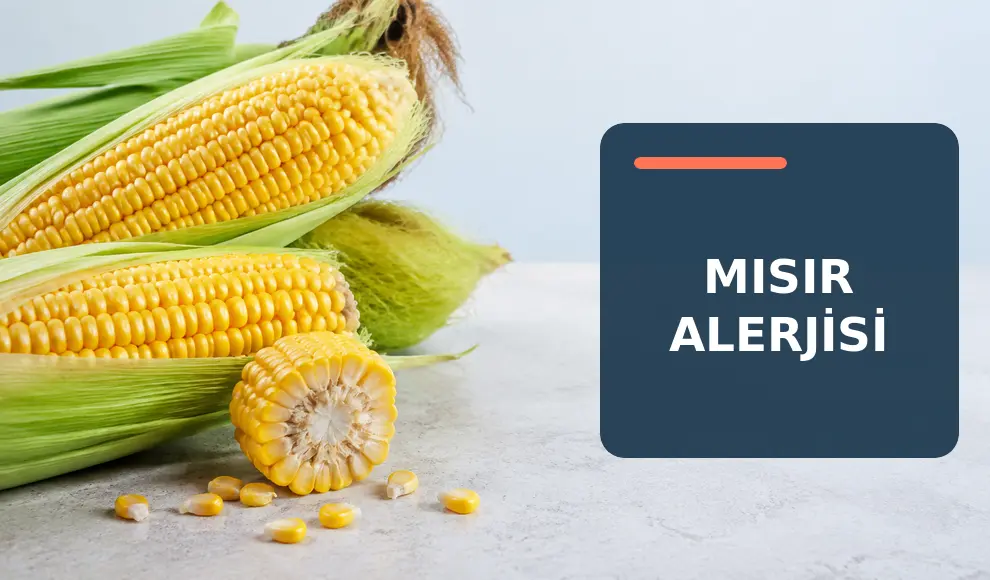 Mısır Alerjisi