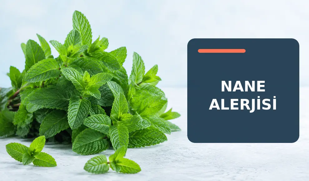 Nane Alerjisi