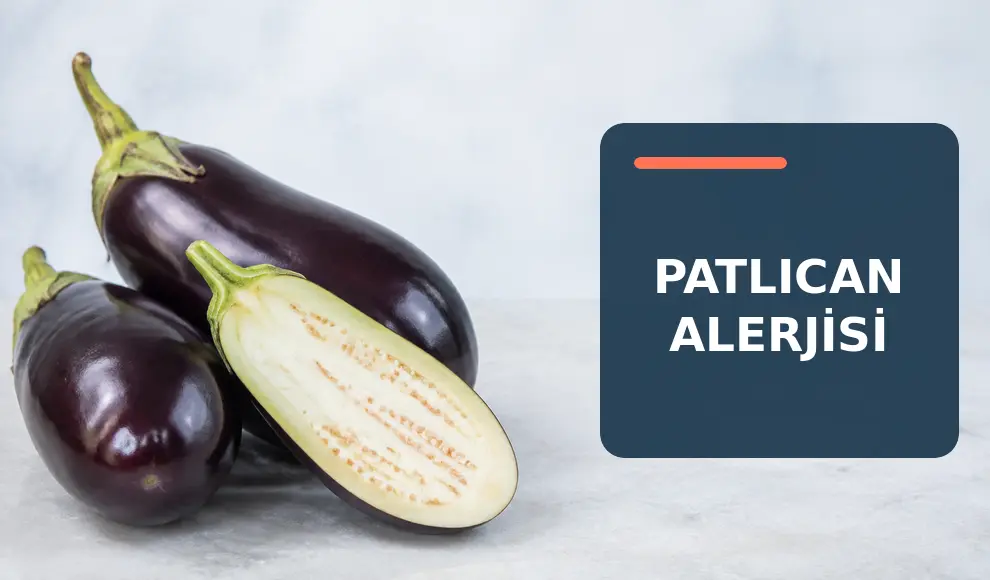 Patlıcan Alerjisi