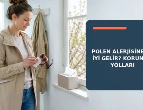 Polen Alerjisine Ne İyi Gelir? Korunma Yolları