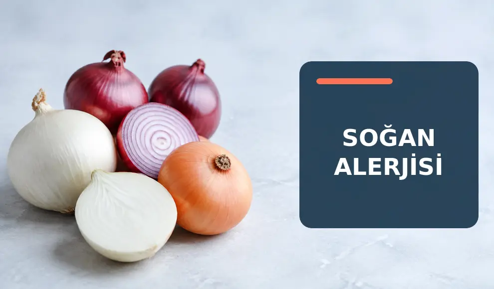 Soğan Alerjisi