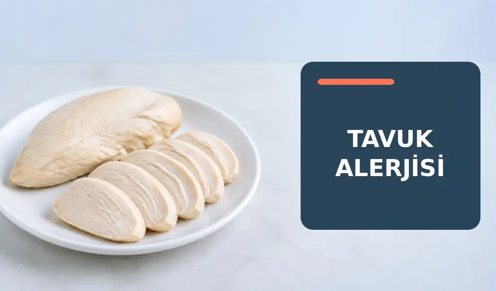 Tavuk Alerjisi