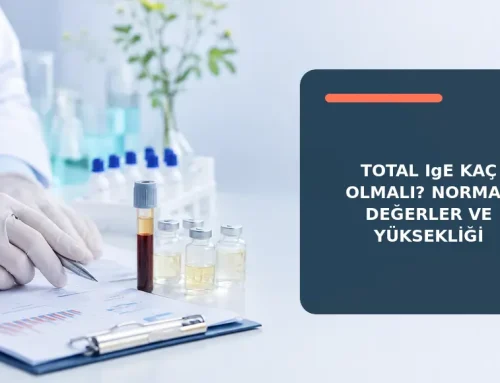 Total IgE Kaç Olmalı? Normal Değerler ve Yüksekliği