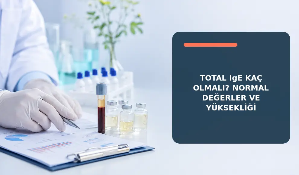 Total IgE Kaç Olmalı? Normal Değerler ve Yüksekliği