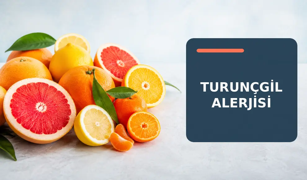 Turunçgil Alerjisi