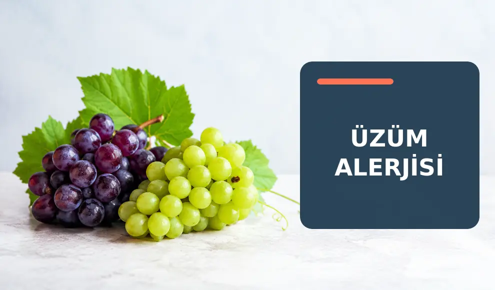 Üzüm Alerjisi