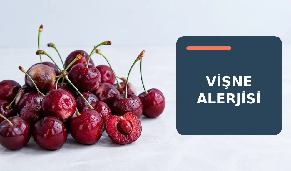 Vişne Alerjisi