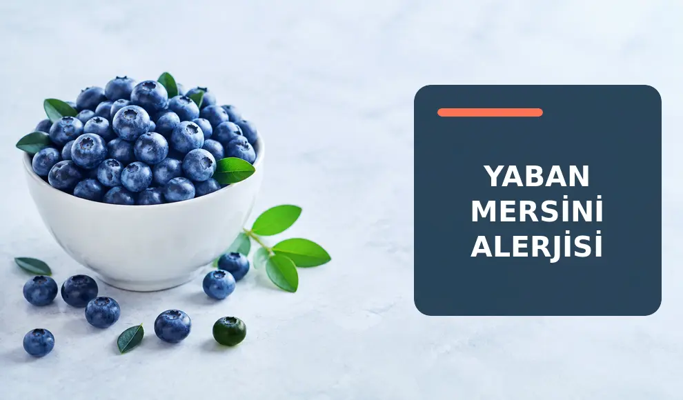 Yaban Mersini Alerjisi