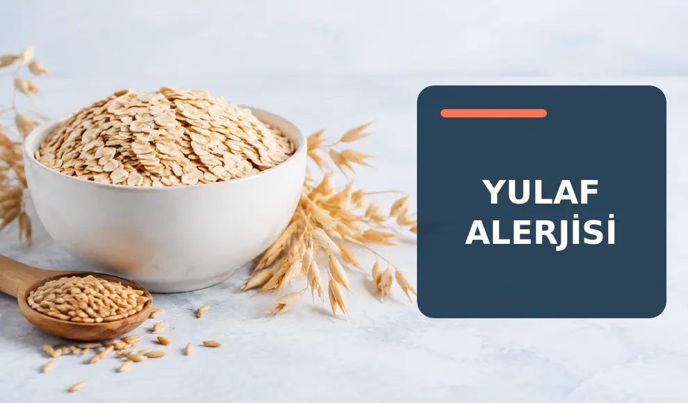 Yulaf Alerjisi