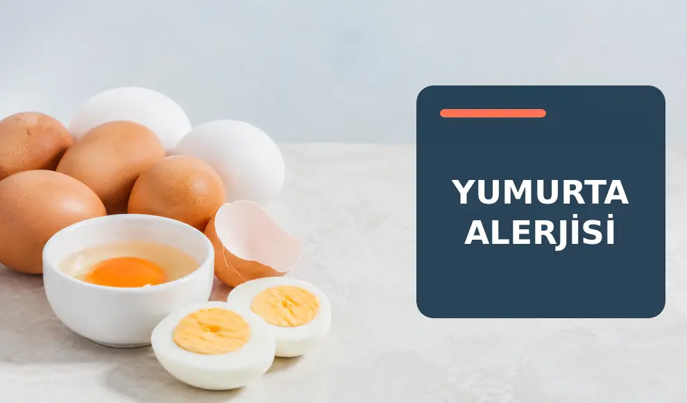 Yumurta Alerjisi